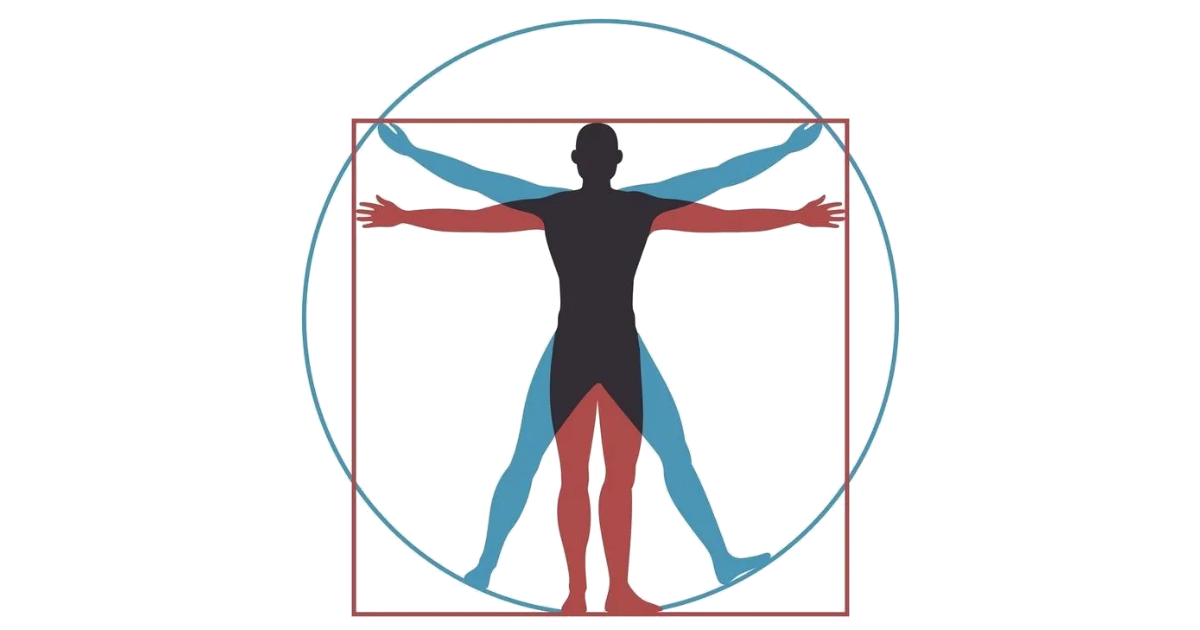 Chiropractor - Stony Point, NY - Donna M. Del Principio, DS — Chiropractic clinic in Stony Point, NY