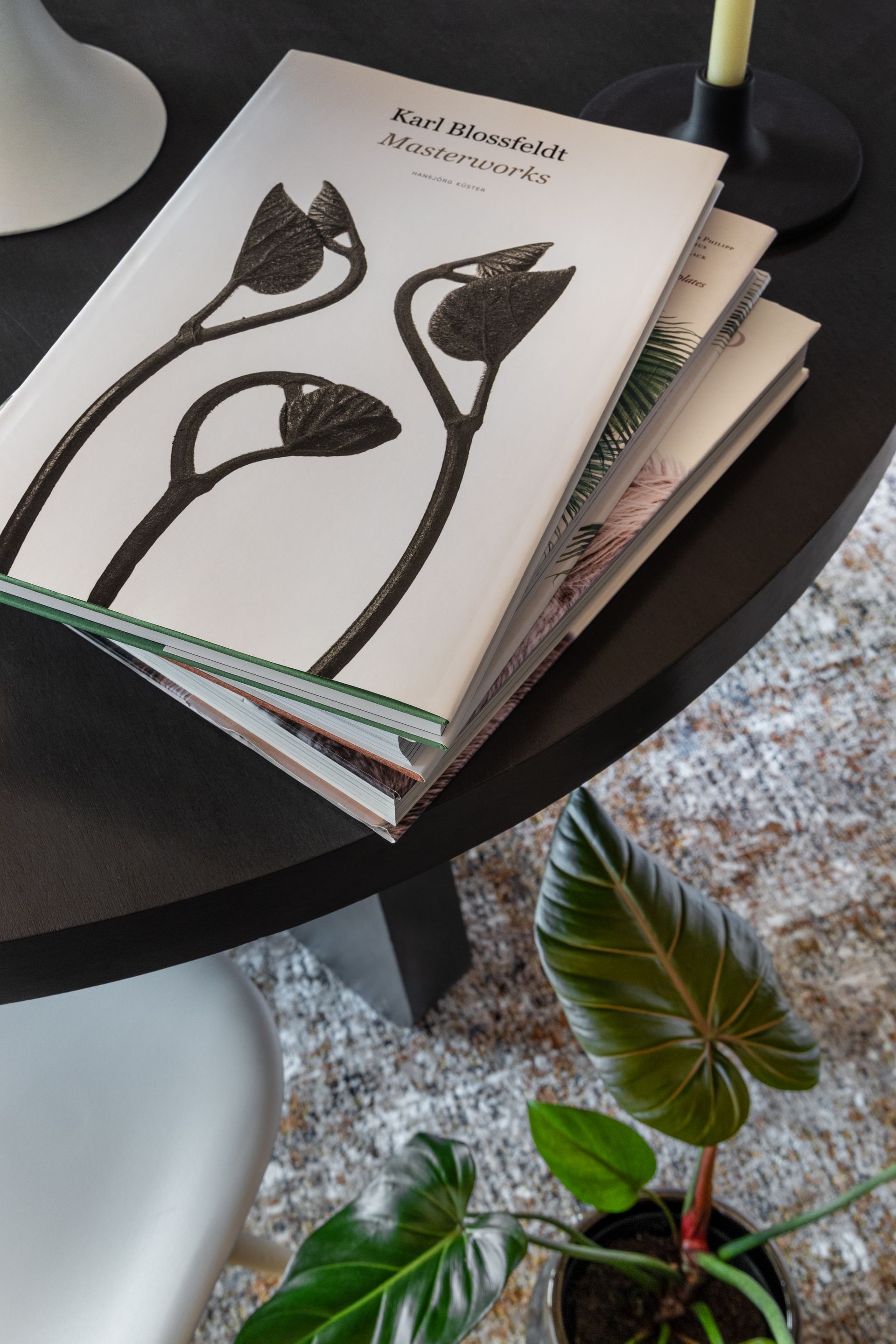 Stack of magazines with floral illustrations on a black table, next to a plant on a textured rug.