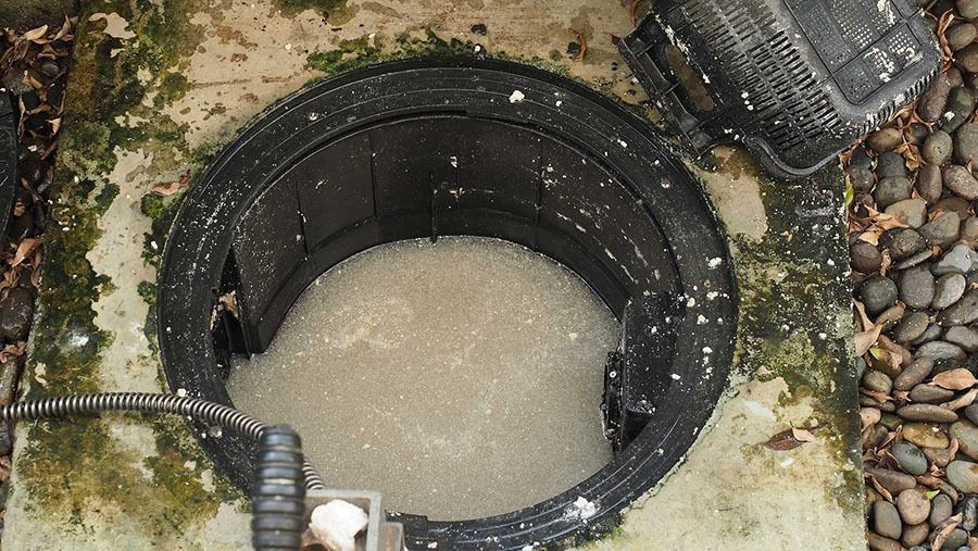 Open circular drain filled with white foam; black plastic rim; concrete setting.