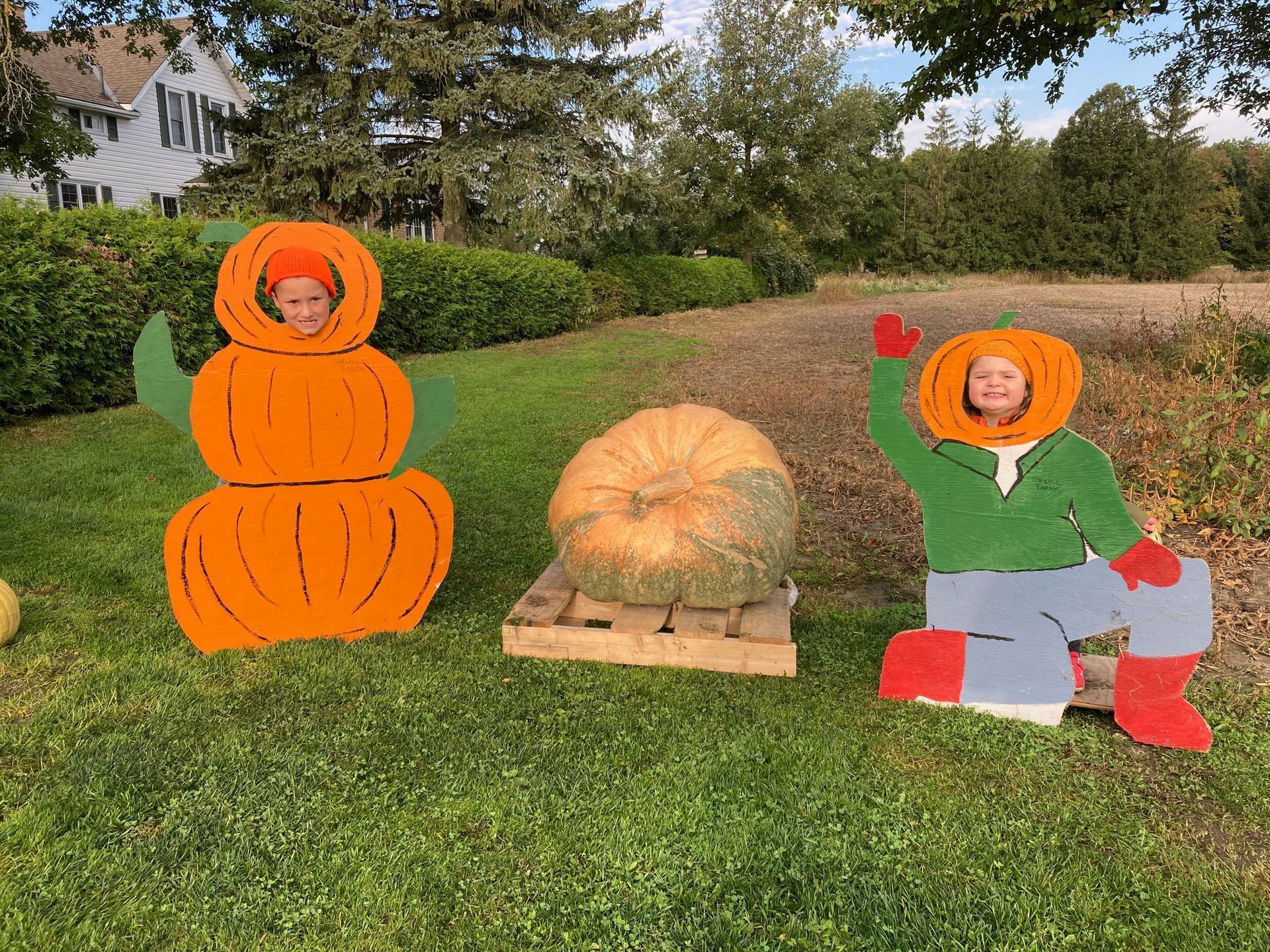 A couple of people standing next to a pumpkin with their faces cut out of it.
