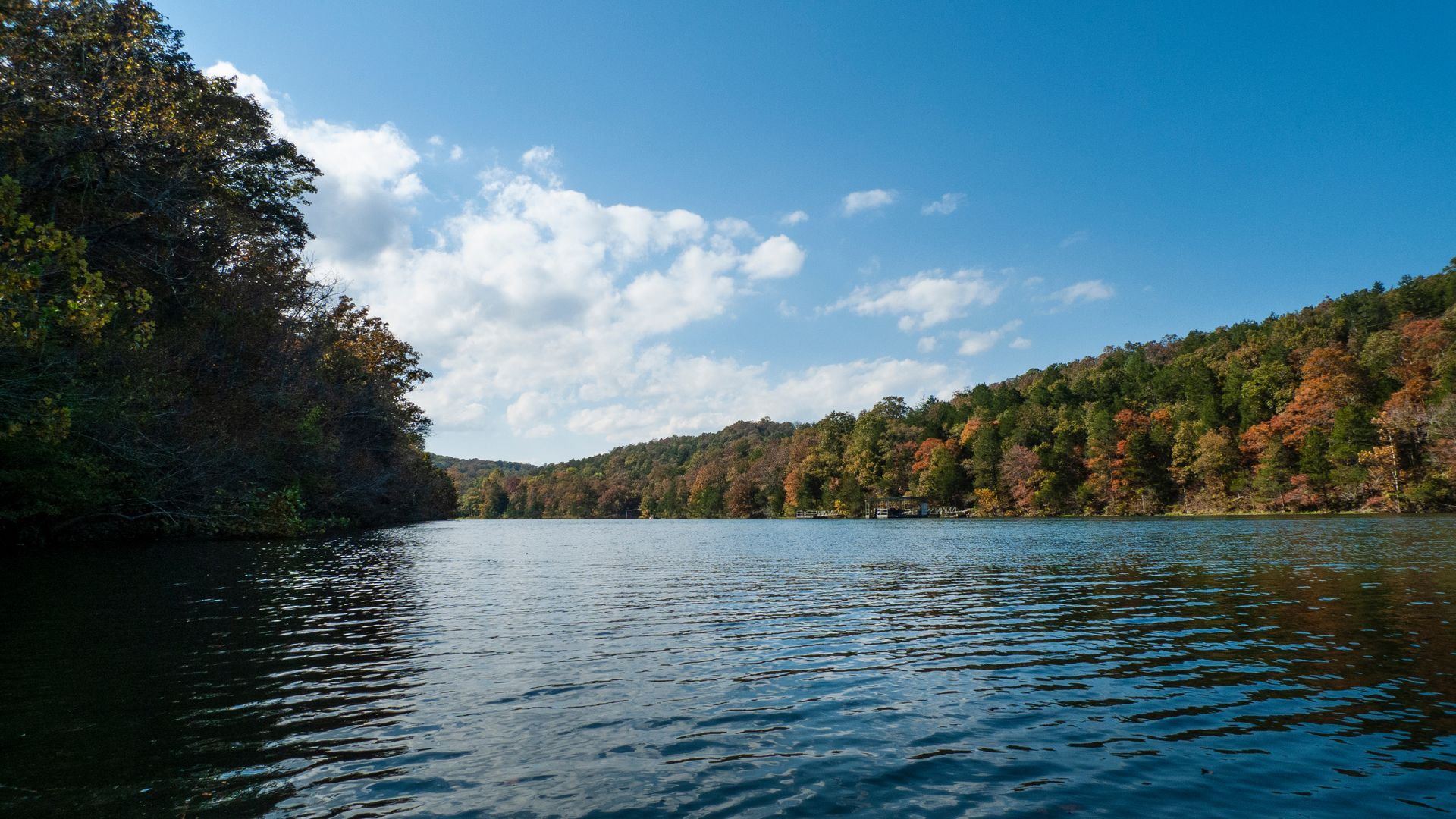A large body of water surrounded by trees on a sunny day.