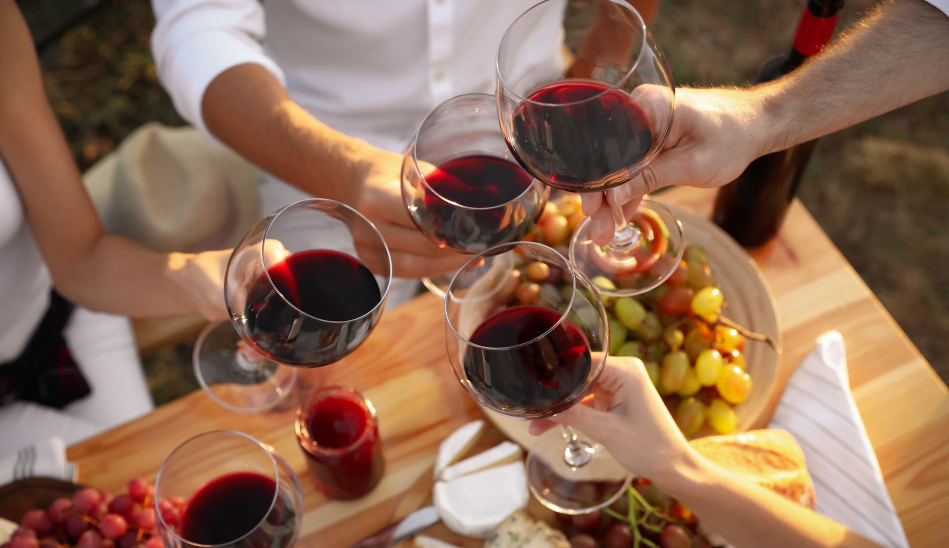 People toasting with red wine glasses over a picnic table with food.