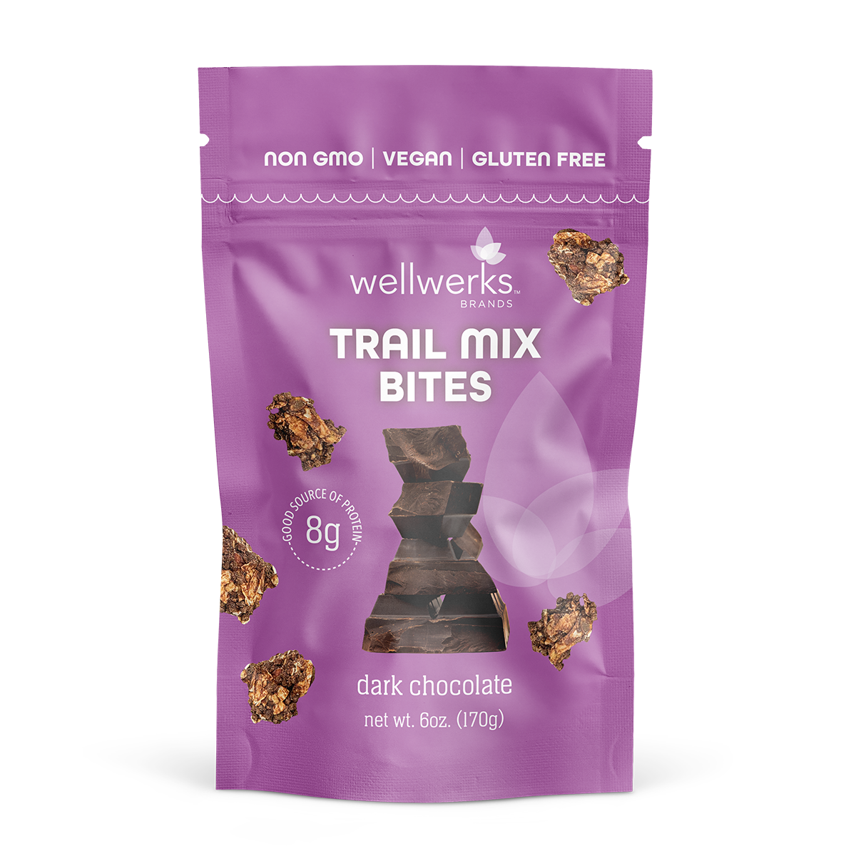 Trail Mix Bites - Dark Chocolate Nut