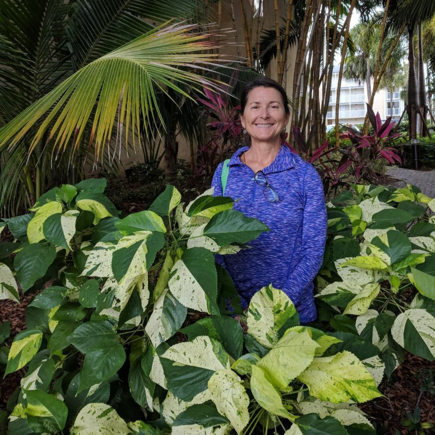 A person in a purple long-sleeved shirt smiles while standing behind variegated green and white foliage in a garden.