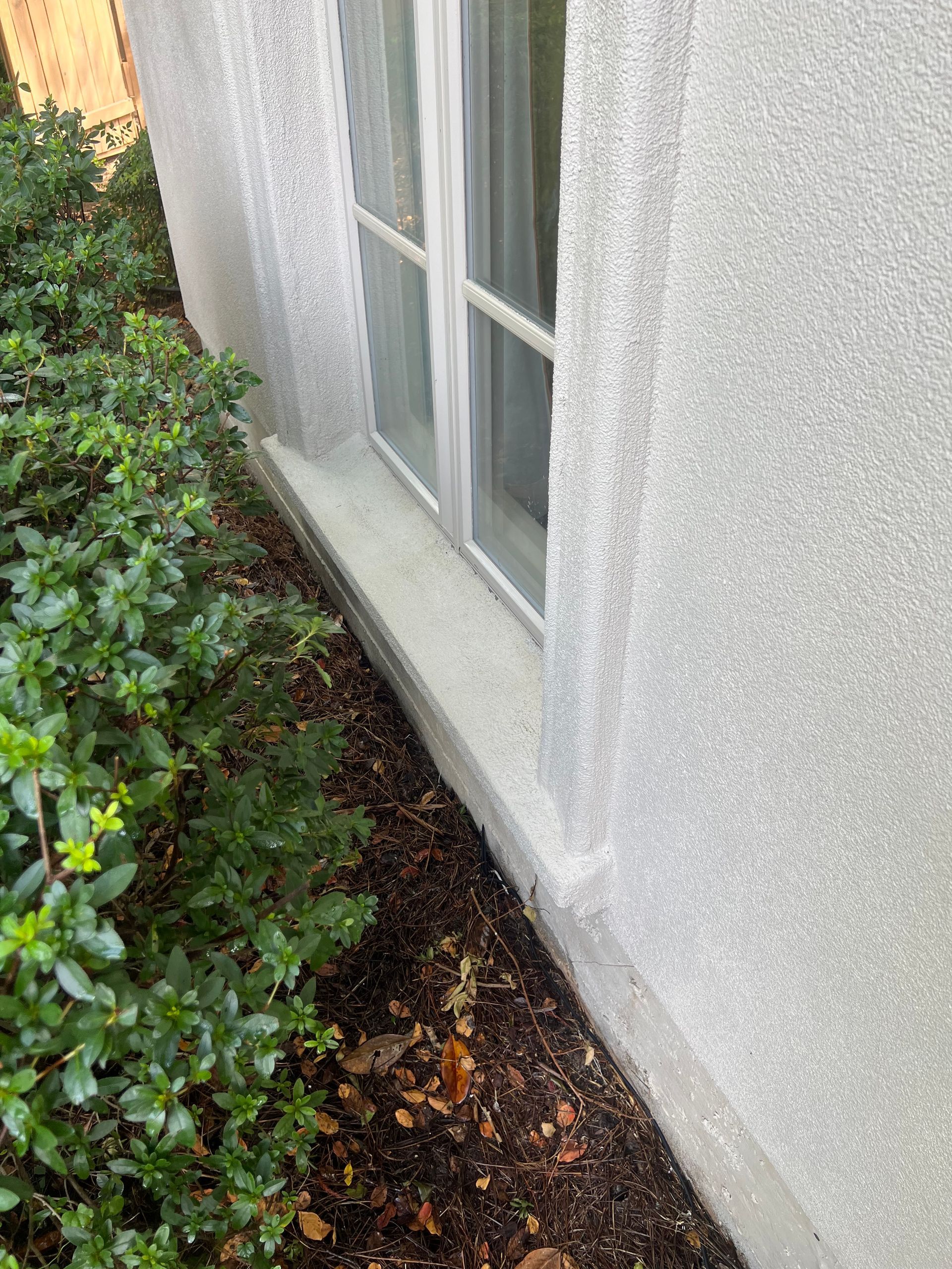 Window in stucco building next to bushes and dark mulch.