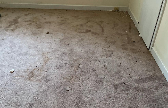 A dirty carpet in a room with a white wall.