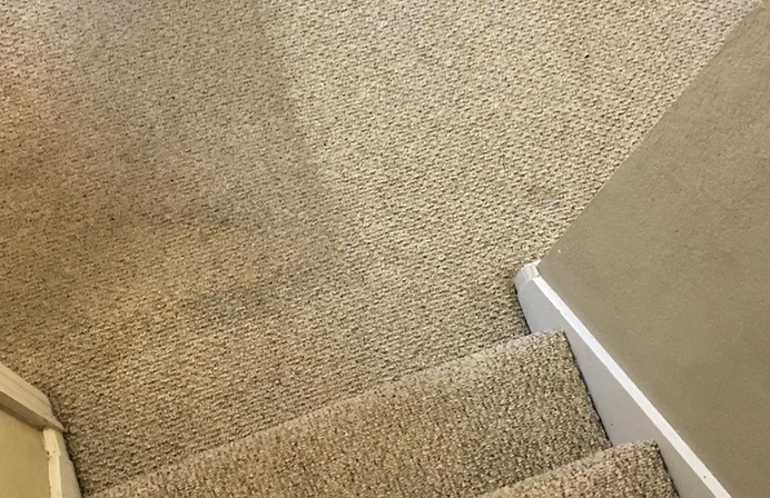 A close up of a carpeted staircase in a house.