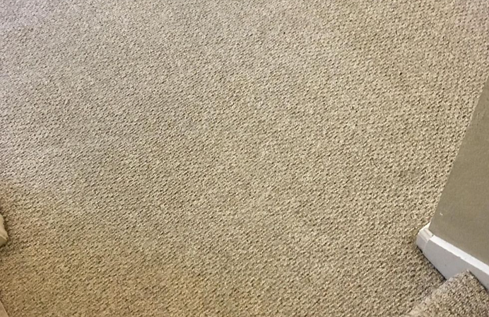 A close up of a beige carpet with stairs in the background.