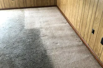 A room with a dirty carpet and a clean carpet.