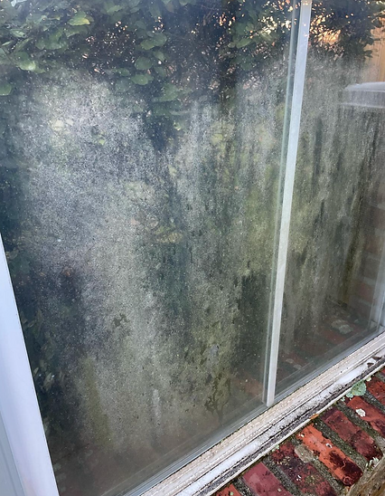 A window with a lot of mold on it and a brick floor.