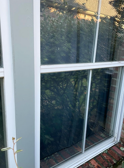 A close up of a window with trees reflected in it.