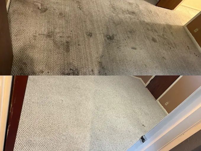 Dirty carpet before cleaning compared to clean carpet after cleaning.