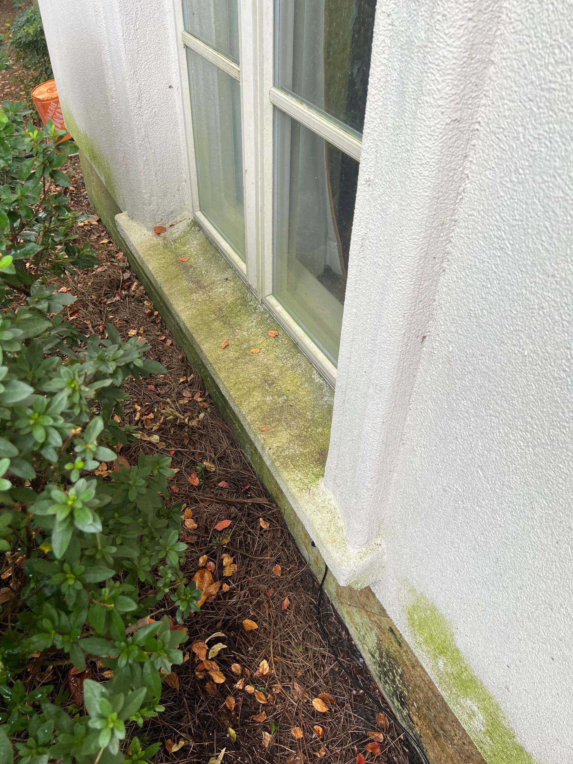 Close-up of a window with a concrete ledge covered in green algae and white stucco exterior wall.