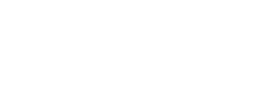 Econo Display logo