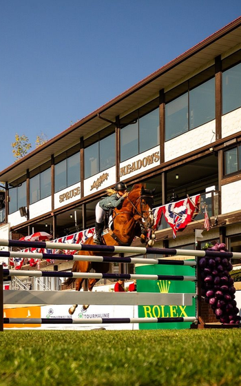 Horse And Jumper