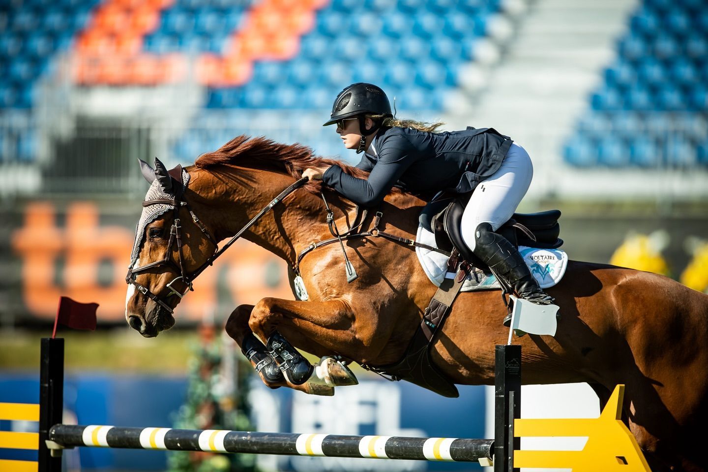 A woman on a brown horse 