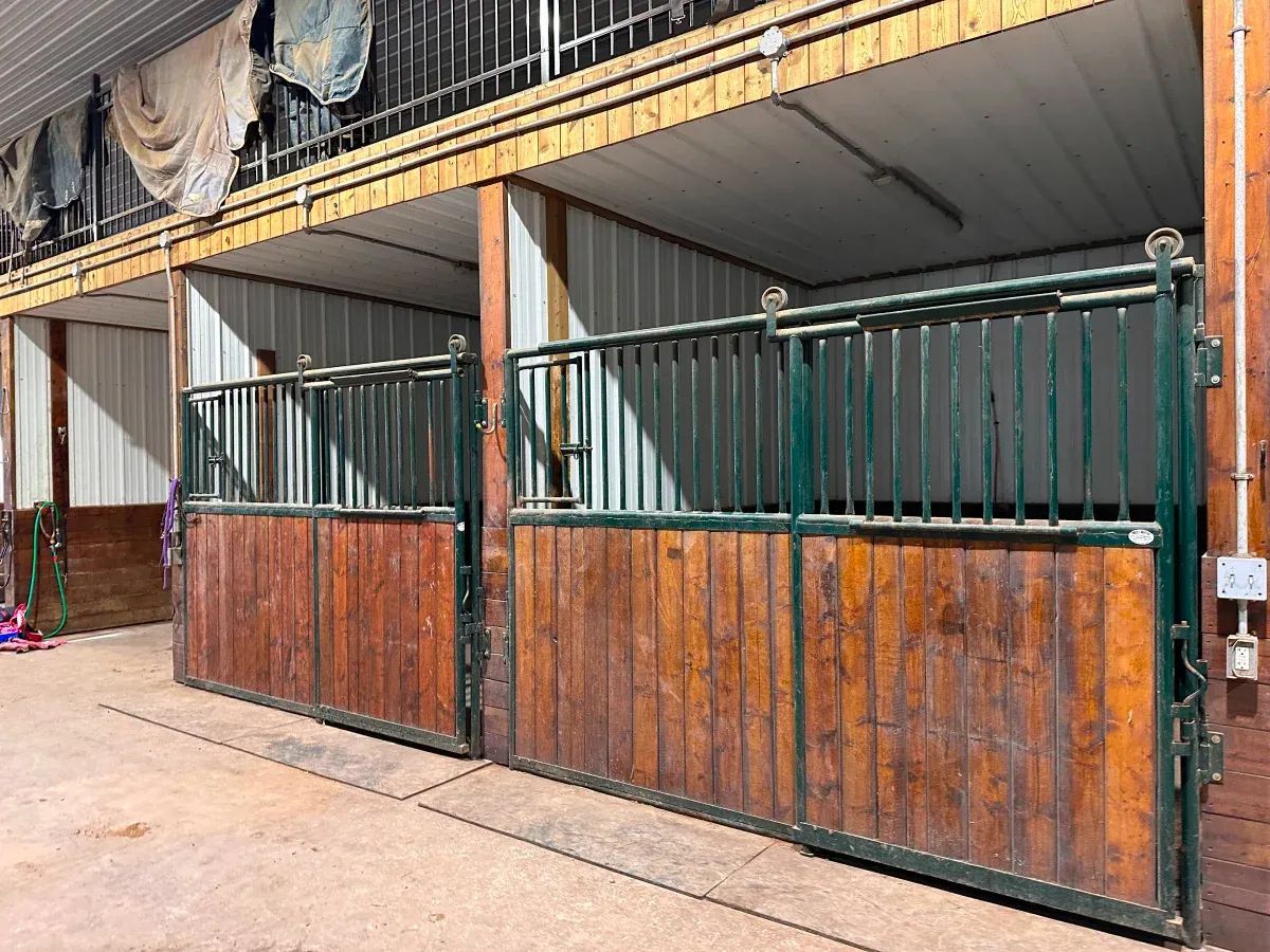 Horse stalls inside a barn. Wooden and green metal stalls stand side-by-side with open doors under a beige ceiling.