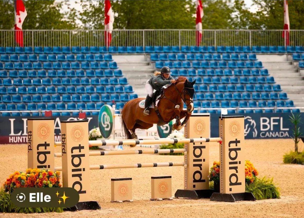 A rider on a brown horse jumps a fence at a horse show in a stadium. Blue seats and Canadian flags are in the background.