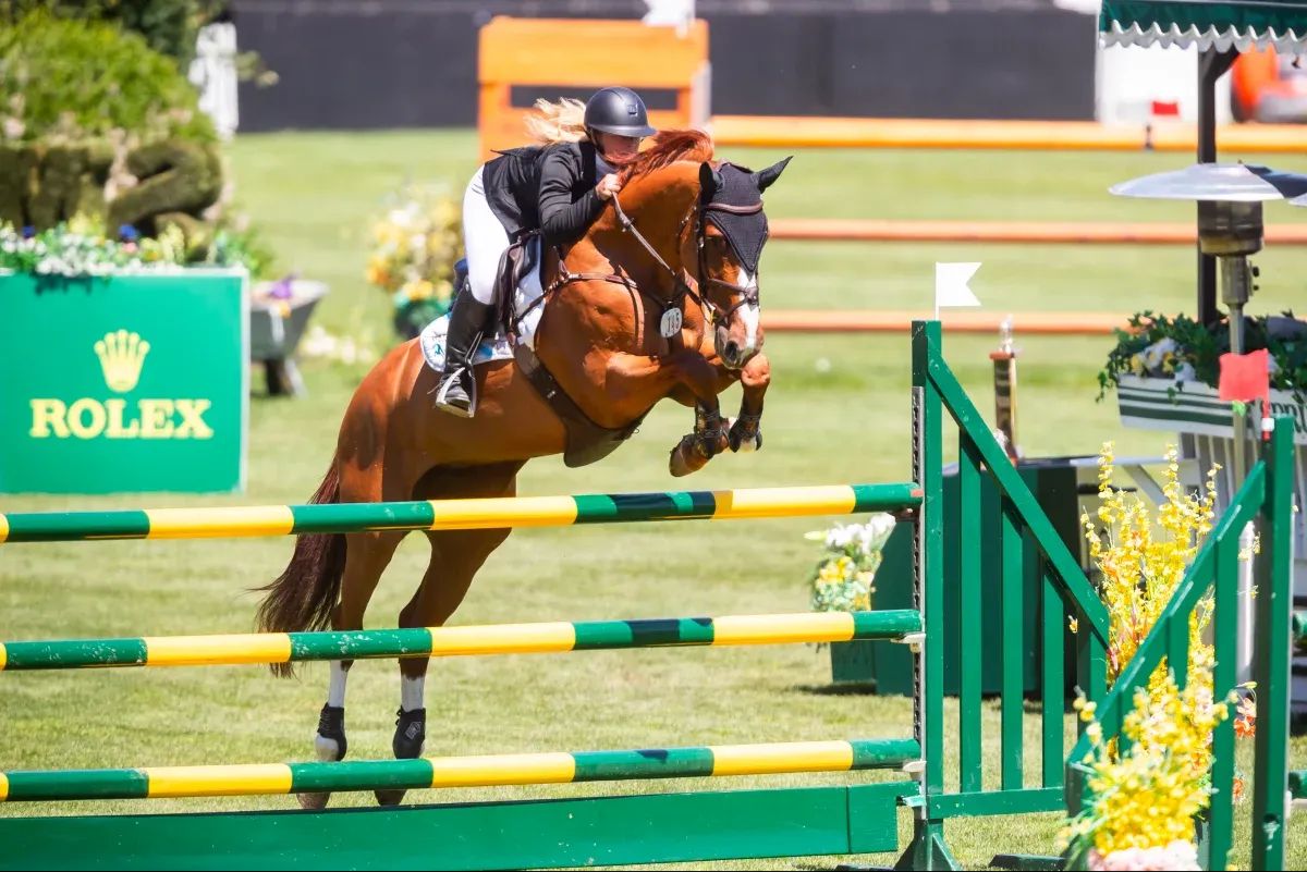 A rider on a brown horse jumps a green and yellow striped fence