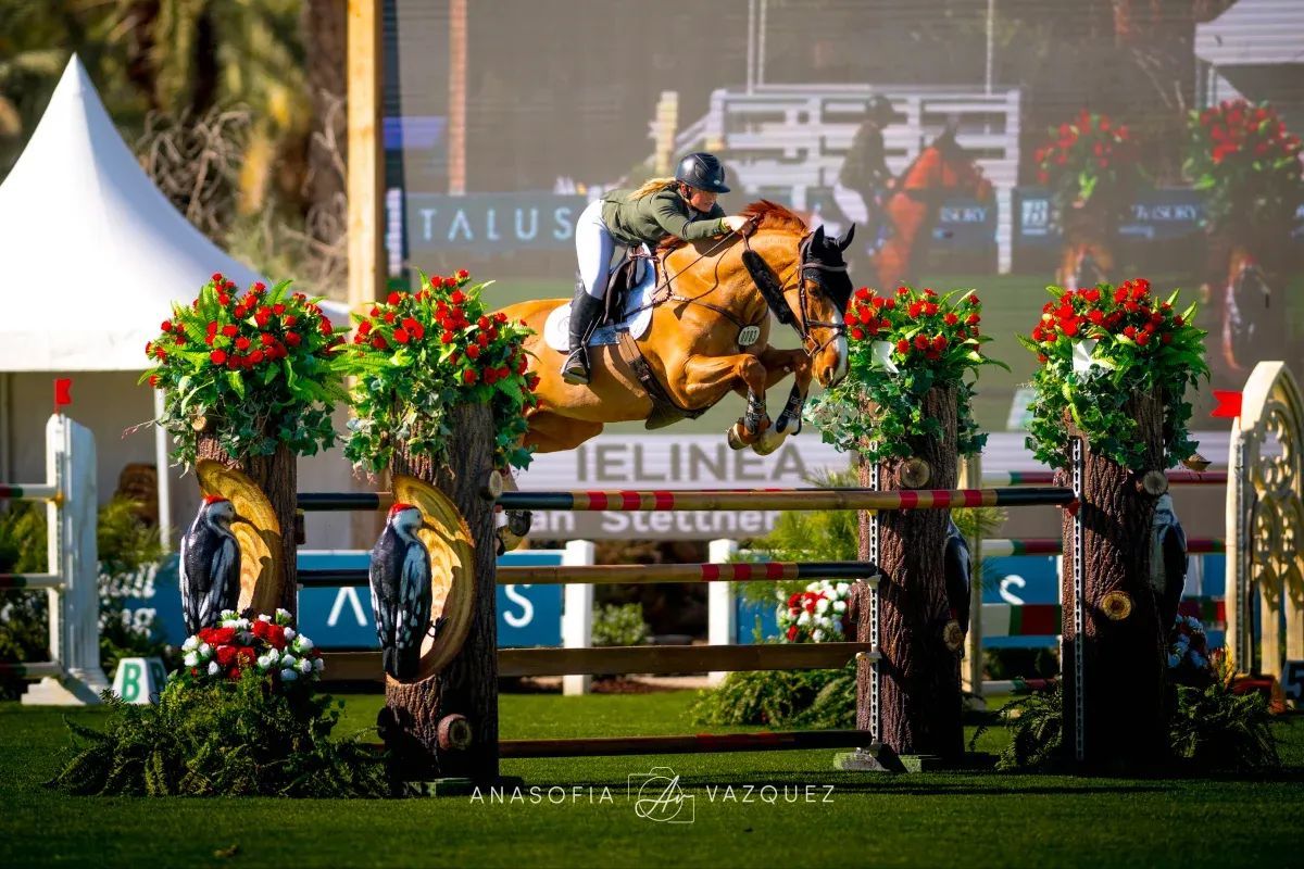 A rider on a chestnut horse jumps an obstacle in an outdoor equestrian competition, with flowers and sponsors' logos visible.