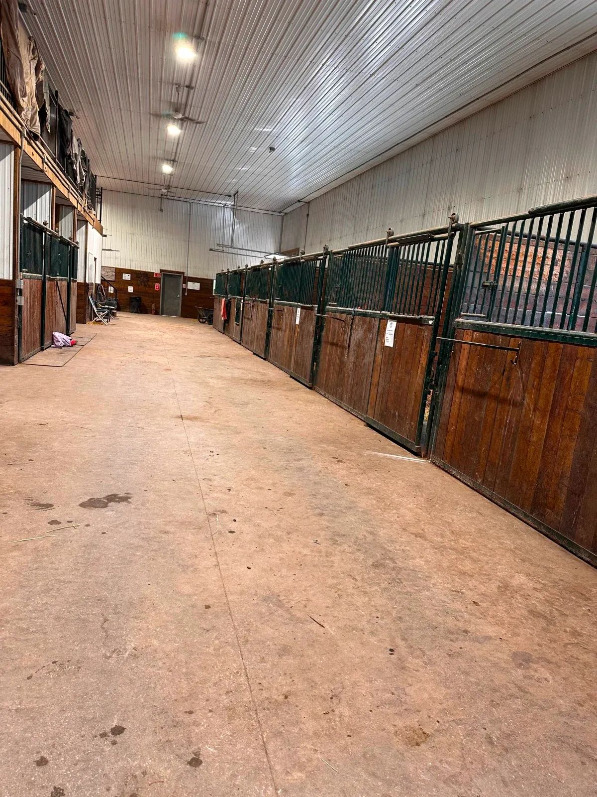 Inside a horse stable, showing a row of stalls. Dark brown wooden stall doors line one side, with open black gates above.