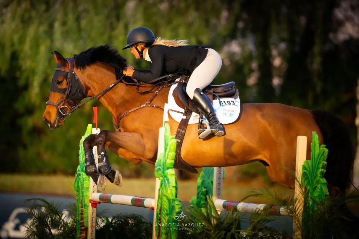 A rider in black attire on a brown horse jumps over a colorful obstacle