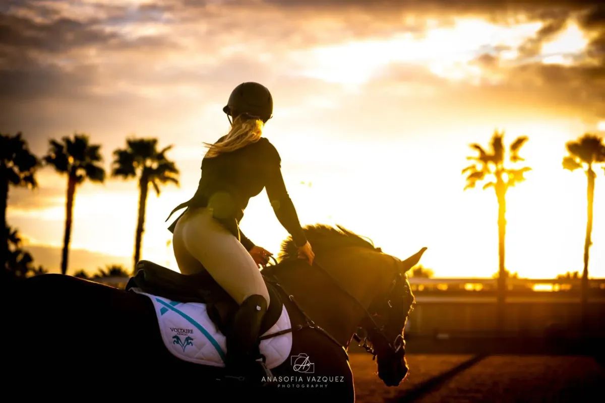Woman on horseback in riding attire at sunset, silhouetted against palm trees, golden light.