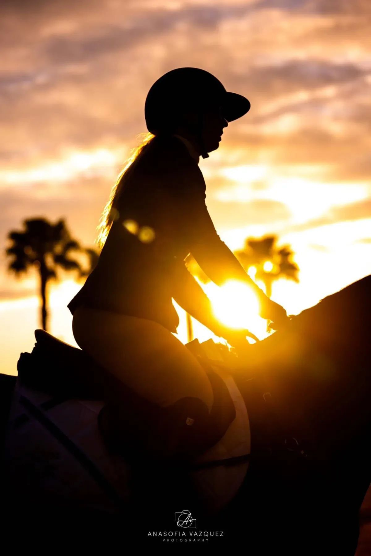 Silhouette of equestrian rider on horseback against a sunset. Palm trees in the background.