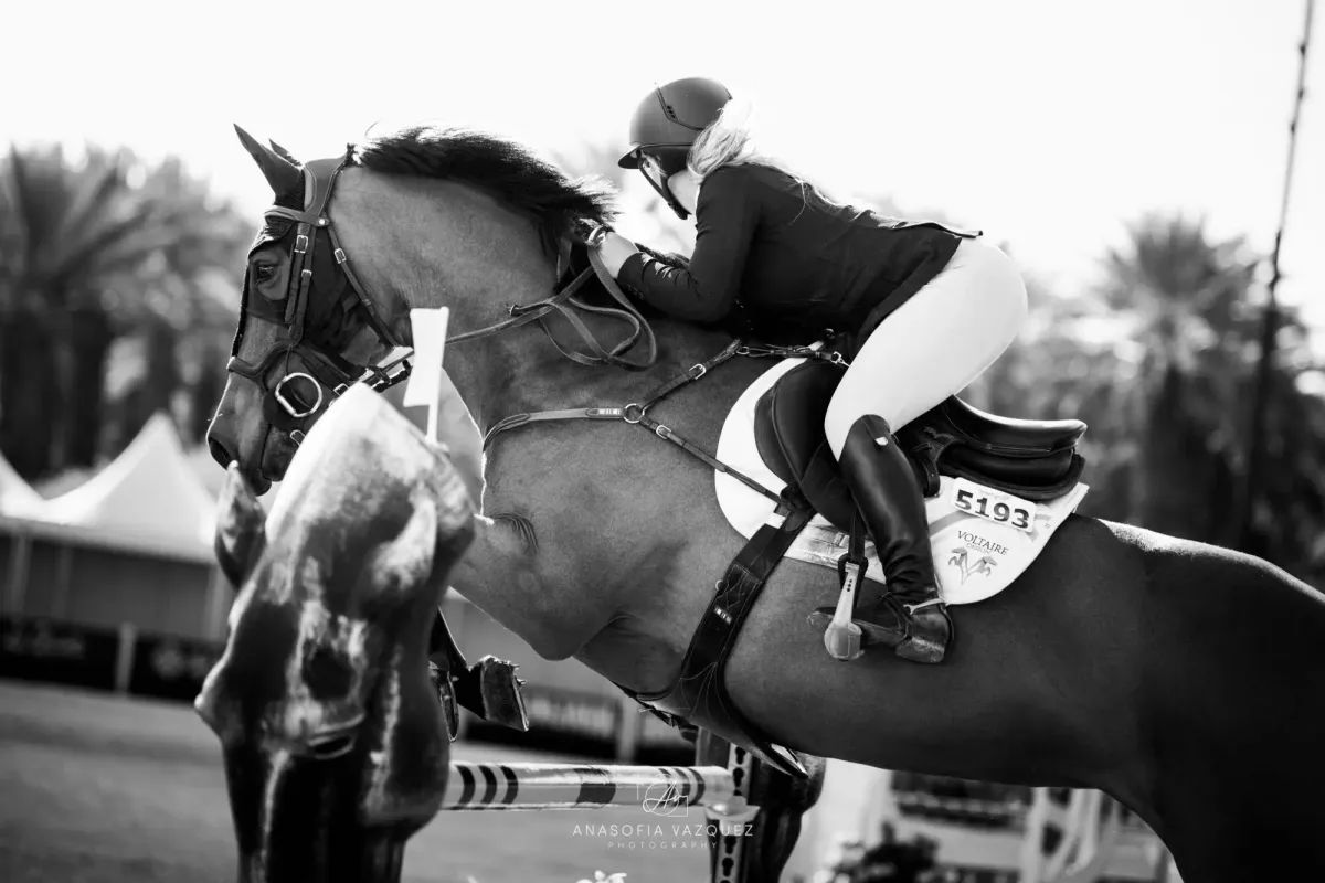 A rider and horse in mid-air, jumping over a bar at an equestrian event. Monochrome shot, sunny outdoor setting.