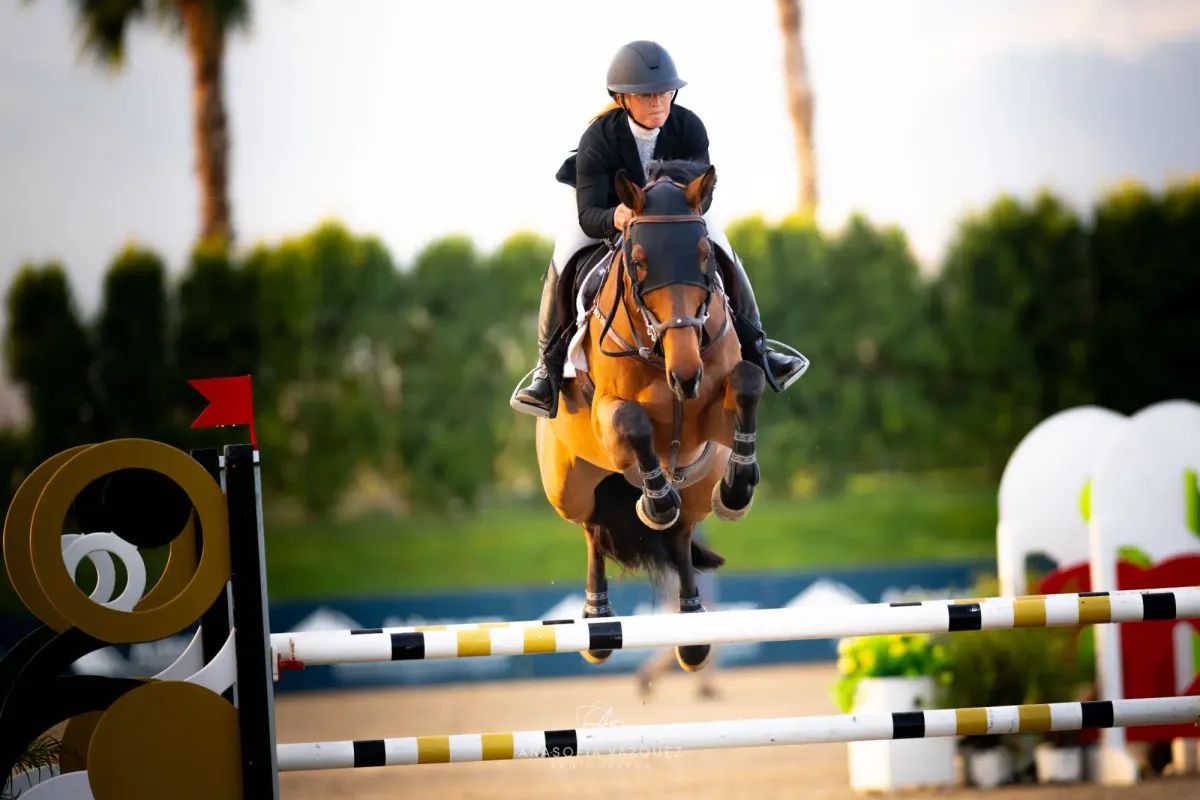 A person in riding gear on a brown horse jumping over a white and black striped fence in an outdoor arena.