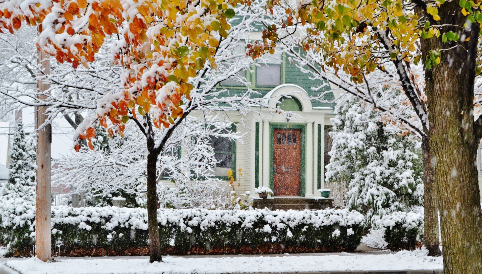 A house is covered in snow and trees are covered in snow.