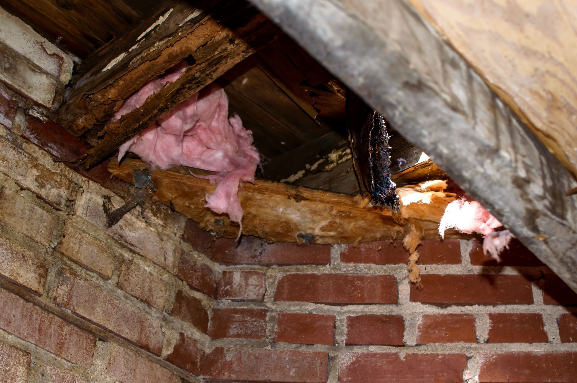 wet fiberglass insulation and water damaged wooden beams in roof