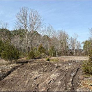 A dirt road going through a forest with trees in the background.
