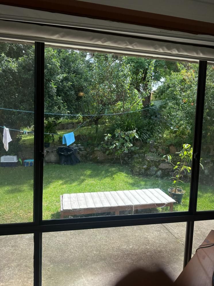 A Person Is Looking Out Of A Window At A Backyard — Central Coast Glass & Glazing In Wyong, NSW
