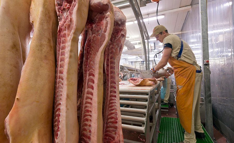New Zealand Meat processing Knives