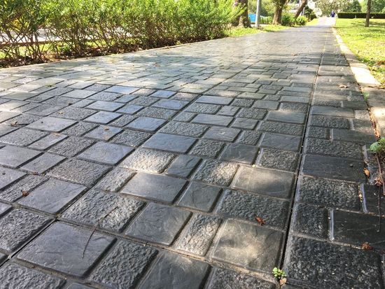 A brick walkway in a park with trees on both sides.