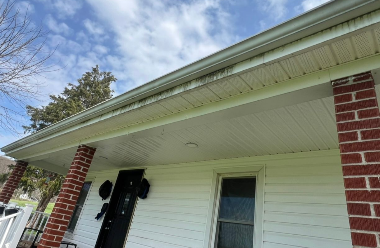 A close up of a house with a window and siding covered in moss.