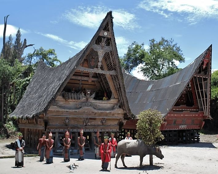 A group of people standing in front of a house with a buffalo in front of it