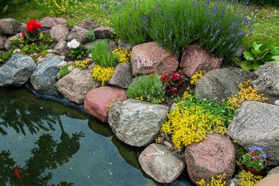 Small Pond On A Summer Day In The Garden — York, PA — M&K Stone Landscaping Inc.