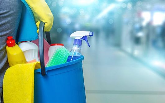 Professional Cleaning Service — Lady with a Bucket and Cleaning Products in Neptune Beach. Florida