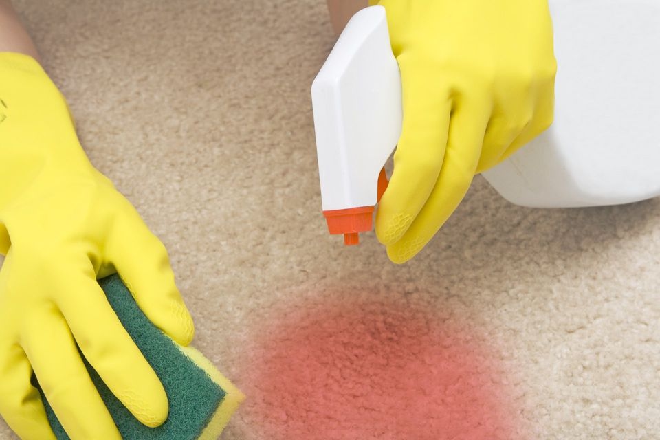 Image of spraying carpet cleaner on stained rug.