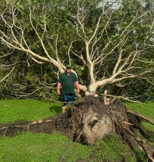 A Man is Standing Next to a Fallen Tree in a Field — Mentally Hooked in Robina, QLD