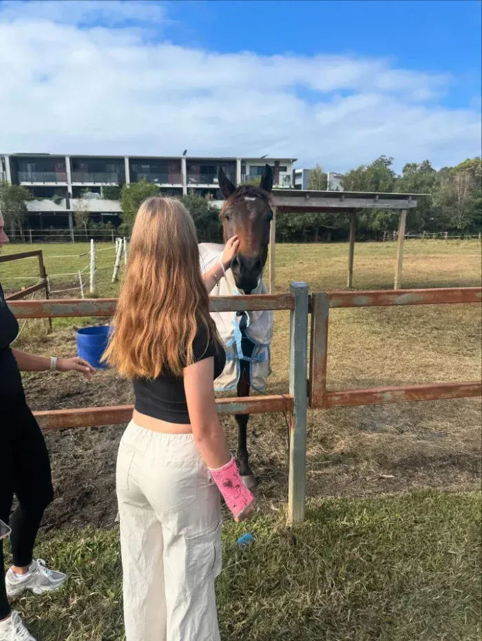 Girl petting a brown horse in a fenced area; another person holds a blue bucket — Mentally Hooked in Brisbane, QLD