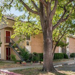 wind tree apartments