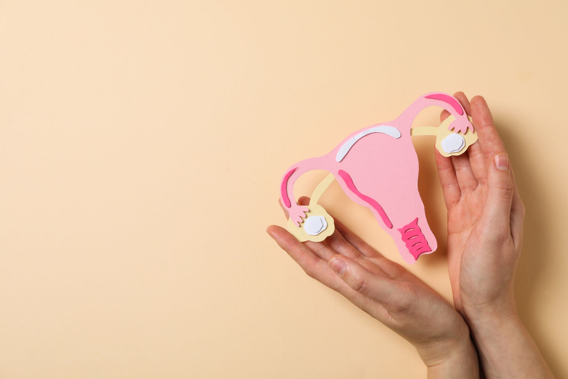 Hands holding a pink paper cutout of a female reproductive system on a tan background.