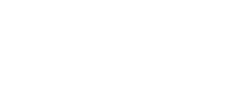 Logo for Castle Hill Eyebrows, Inc. in burgundy script font with black text underneath.