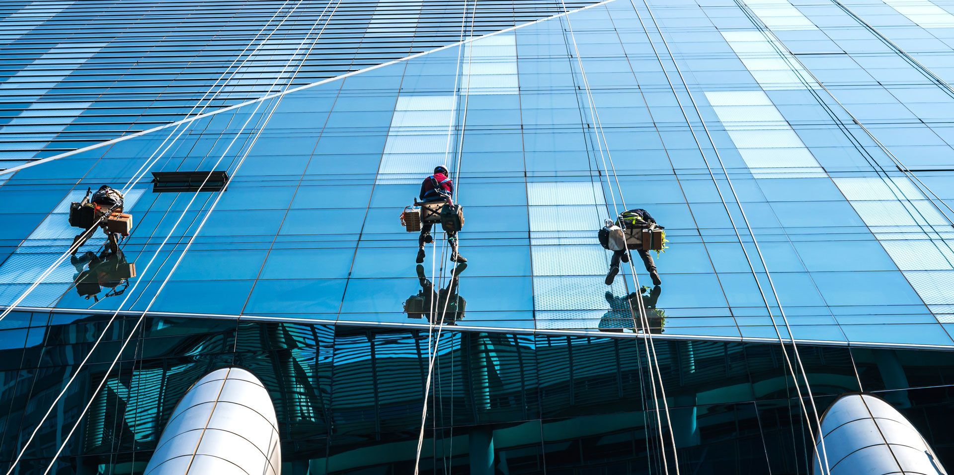 A group of people are cleaning the windows of a building.