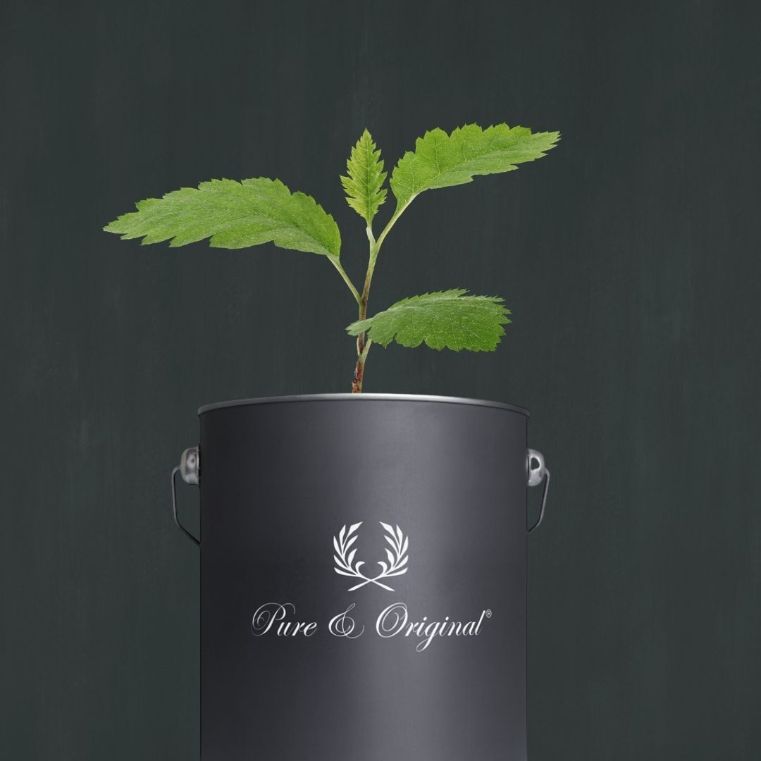 peinture écoresponsable