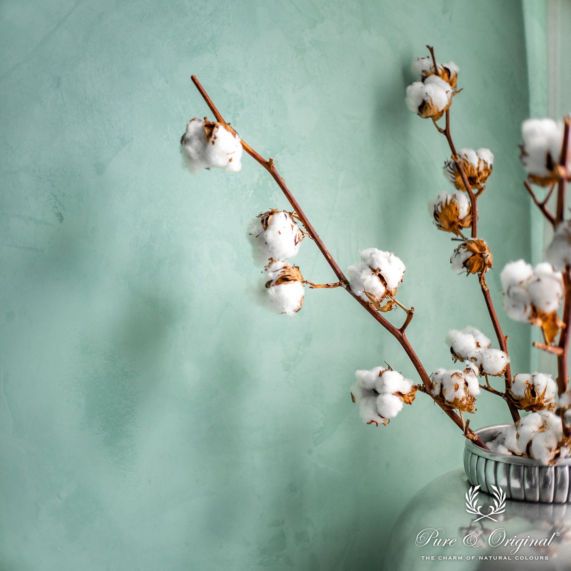 marrakech walls tadelakt / look beton
