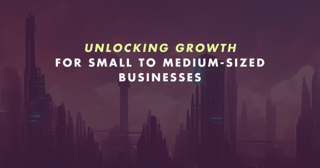 Unlocking Growth: Private Equity Infrastructure Opportunities for SMBs
